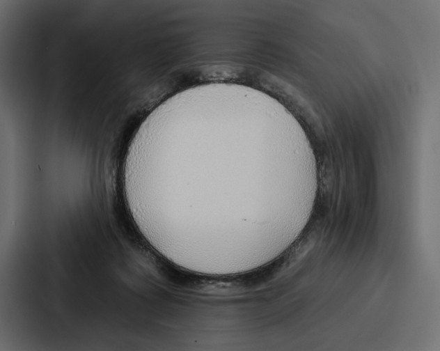 X0000086800315200705111840