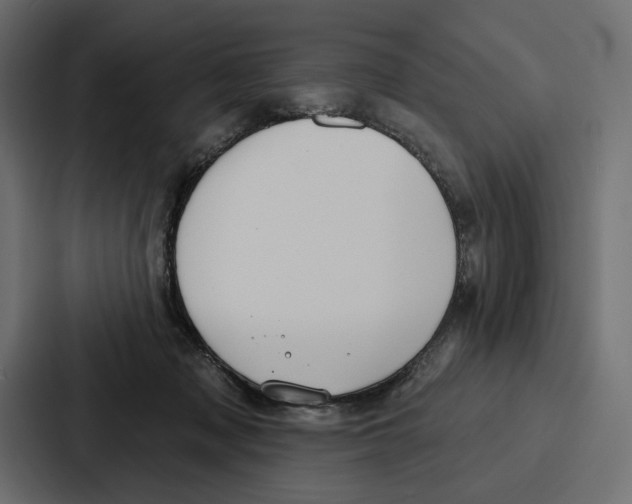 X0000086800317200705111840