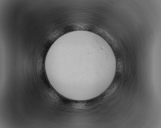 X0000086800318200705111840