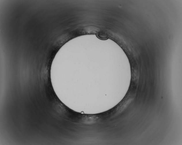 X0000086800321200705111840