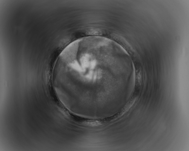 X0000086800322200705111840