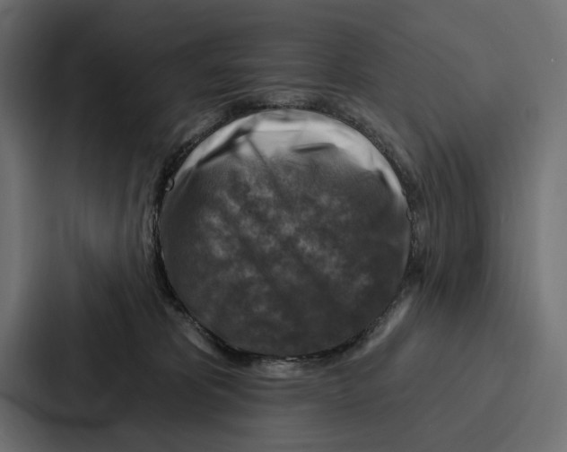 X0000086800325200705111840