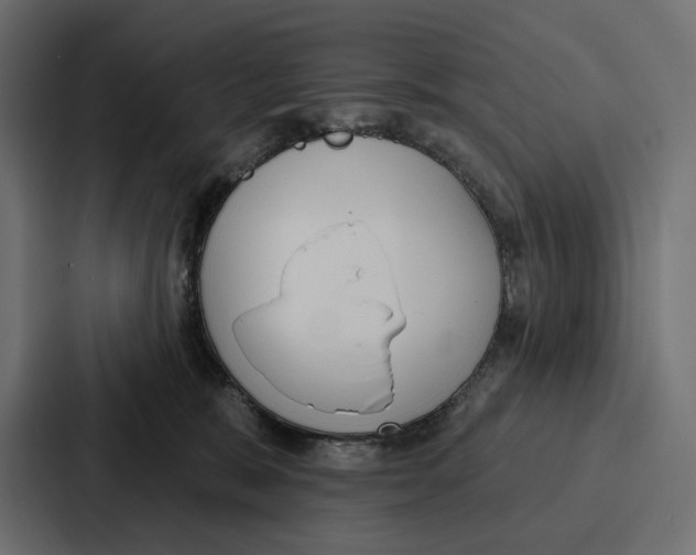 X0000086800327200705111840