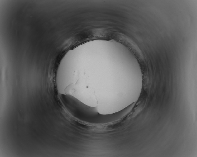 X0000086800329200705111840