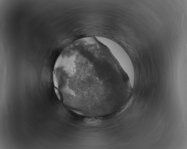 X0000086800331200705111840