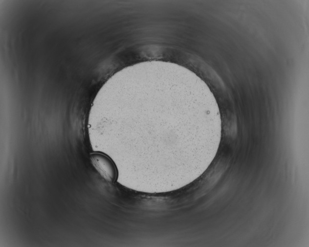 X0000086800332200705111840
