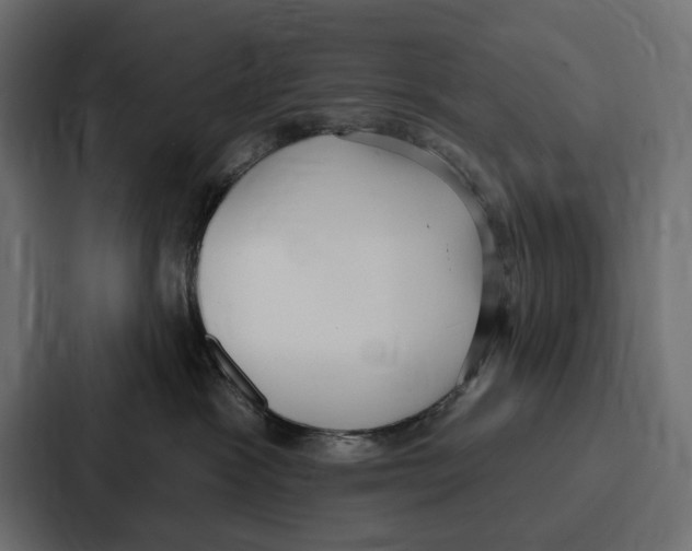 X0000086800333200705111840