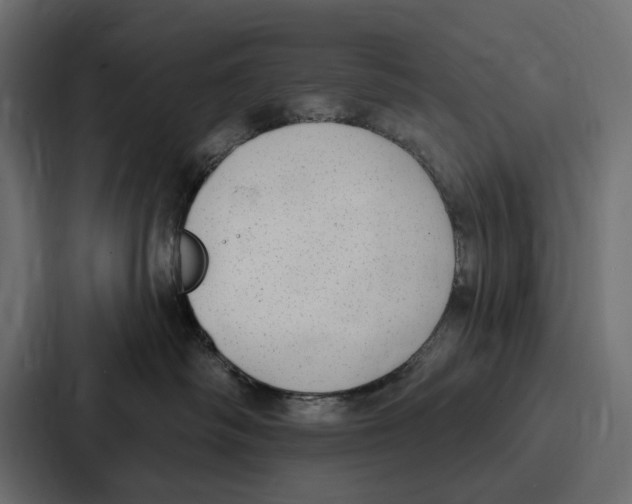 X0000086800334200705111840