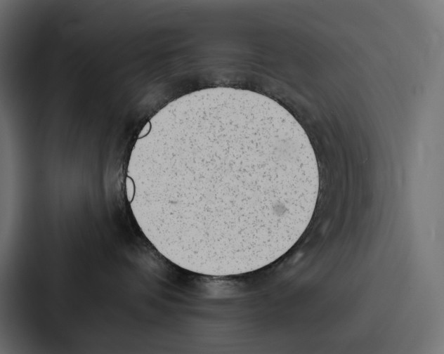 X0000086800336200705111840