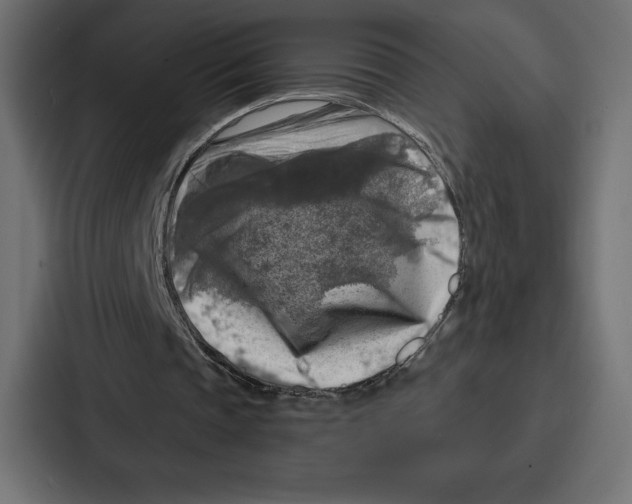 X0000086800337200705111840