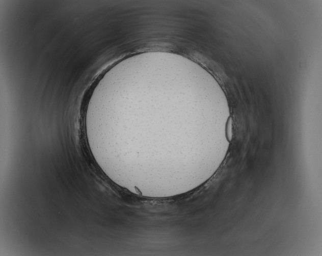 X0000086800338200705111840