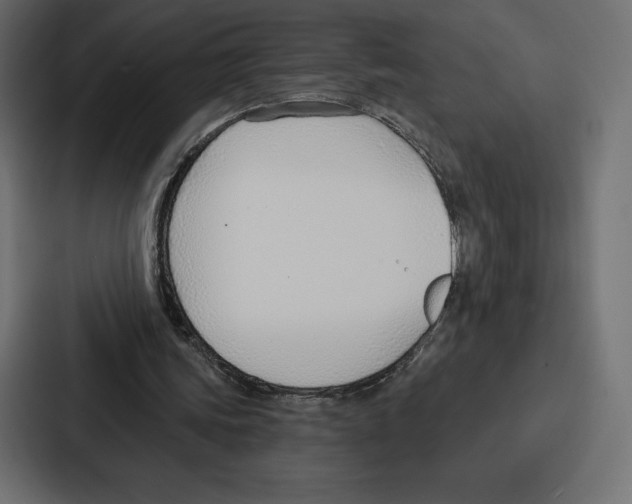 X0000086800339200705111840
