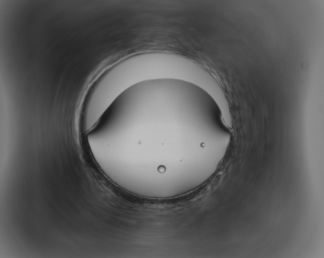 X0000086800340200705111840