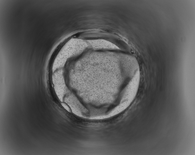 X0000086800342200705111840