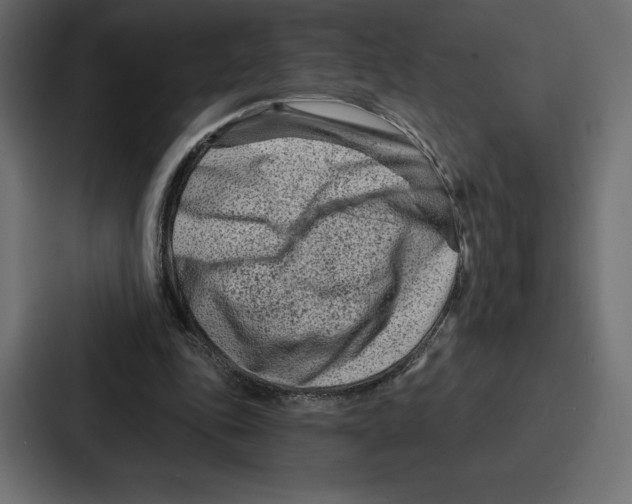 X0000086800343200705111840