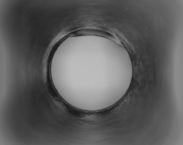 X0000086800344200705111840