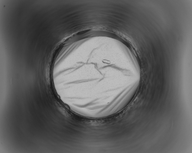 X0000086800345200705111840
