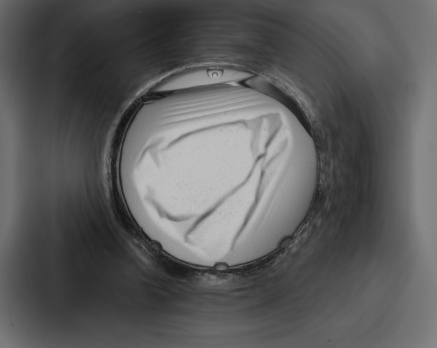 X0000086800346200705111840