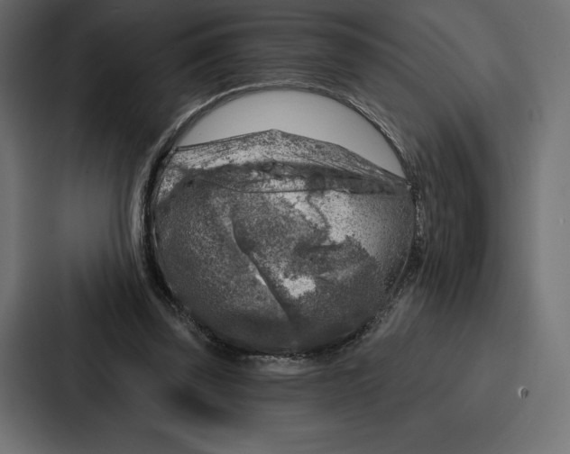 X0000086800347200705111840