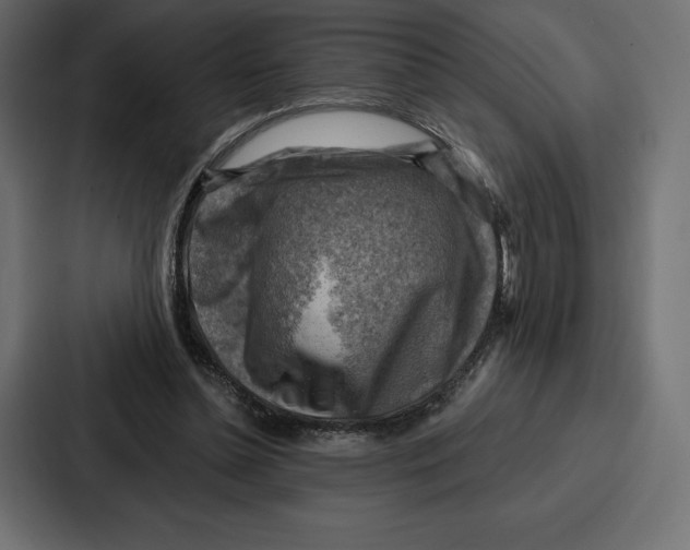 X0000086800348200705111840