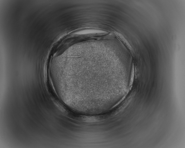 X0000086800349200705111840