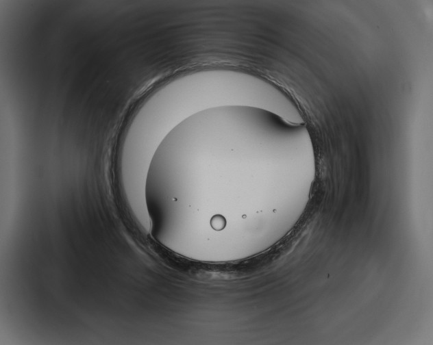 X0000086800352200705111840