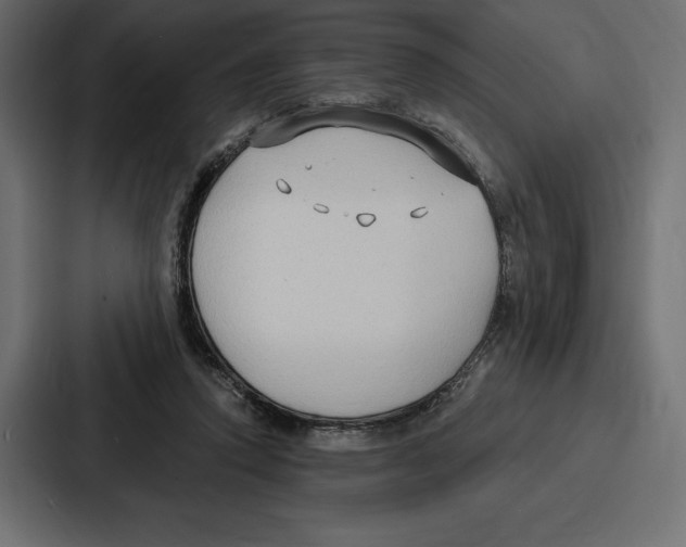 X0000086800354200705111840