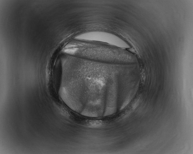 X0000086800355200705111840