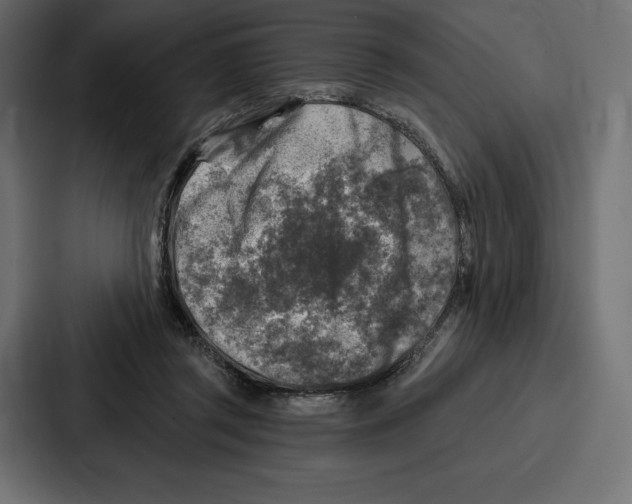 X0000086800357200705111840