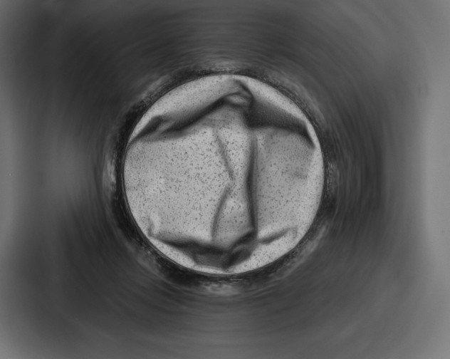 X0000086800358200705111840