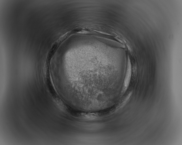 X0000086800359200705111840