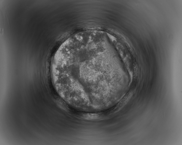 X0000086800361200705111840