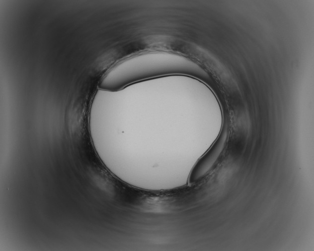 X0000086800364200705111840