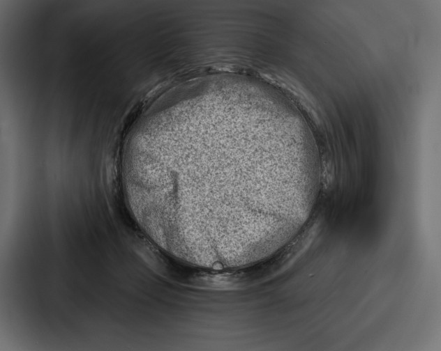 X0000086800365200705111840