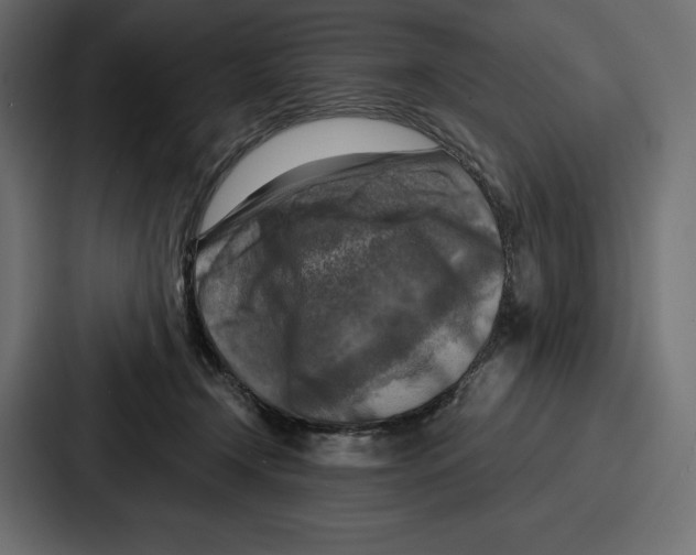 X0000086800366200705111840