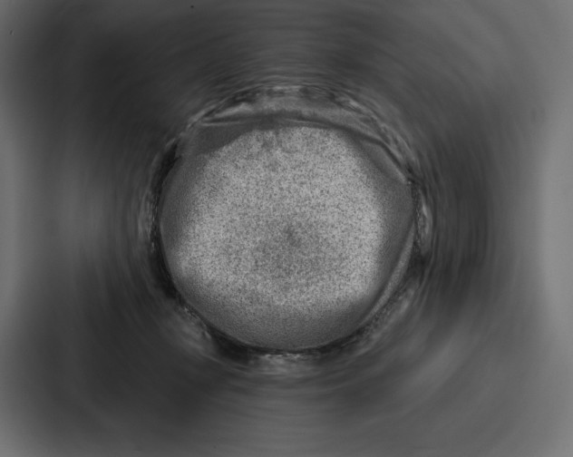 X0000086800367200705111840