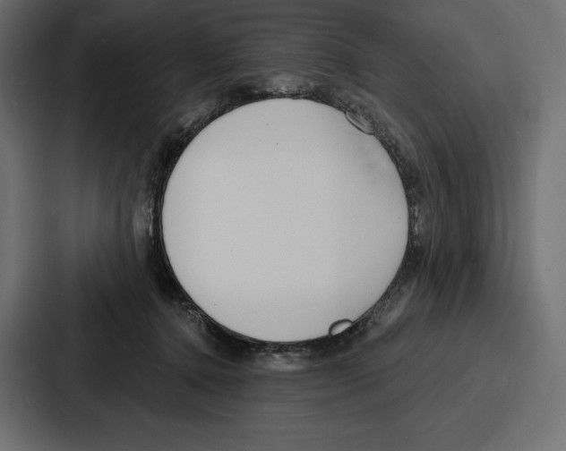 X0000086800368200705111840