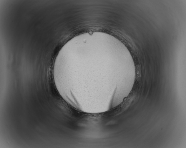 X0000086800369200705111840