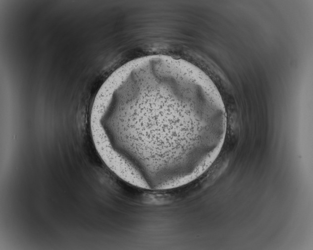 X0000086800372200705111840