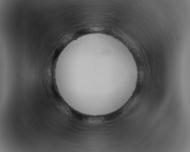 X0000086800373200705111840