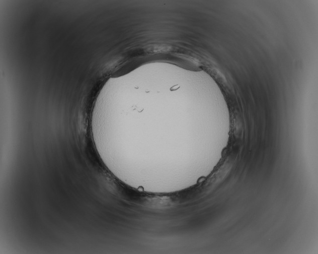 X0000086800374200705111840