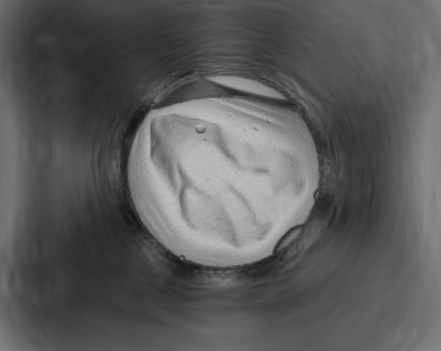 X0000086800377200705111840