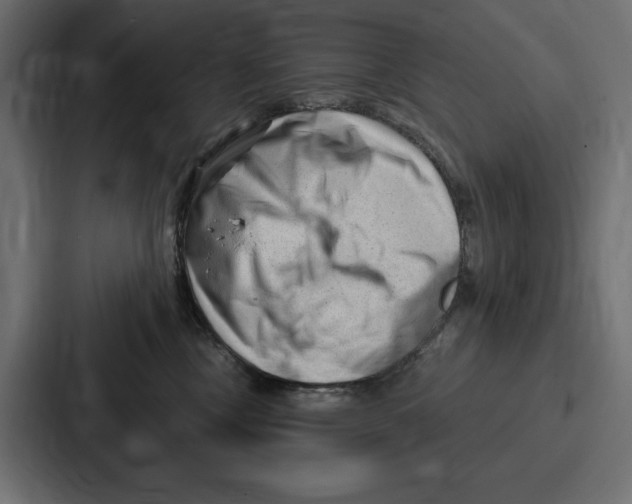 X0000086800378200705111840