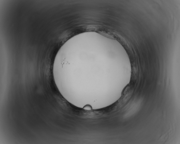 X0000086800379200705111840