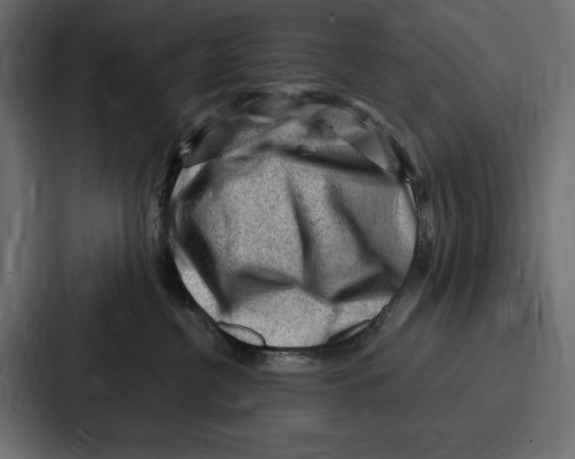 X0000086800380200705111840