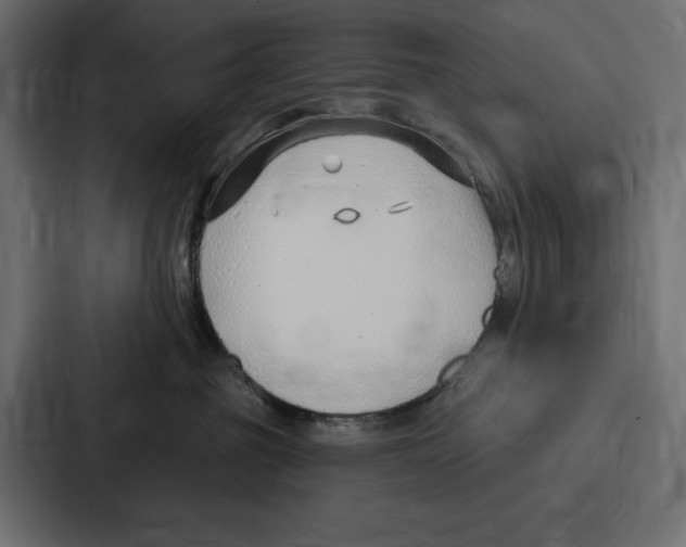 X0000086800381200705111840