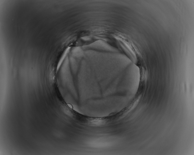 X0000086800383200705111840