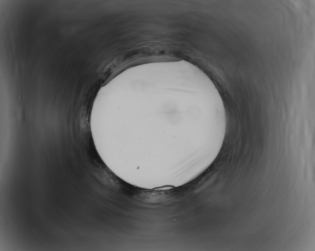 X0000086800384200705111840