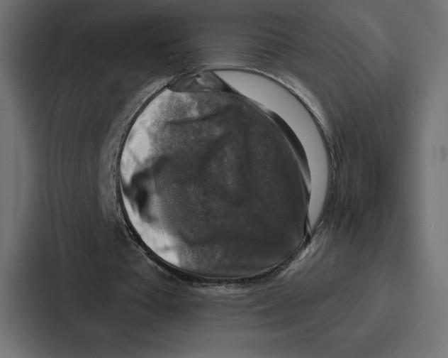 X0000086800385200705111839