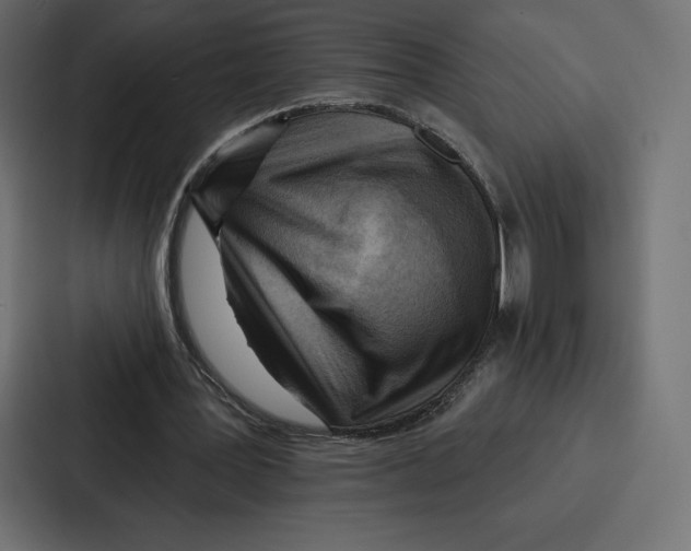 X0000086800387200705111839